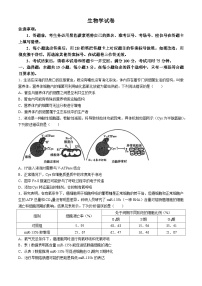 重庆市巴蜀中学2023-2024学年高三下学期4月适应性月考卷（八）生物试卷（Word版附解析）