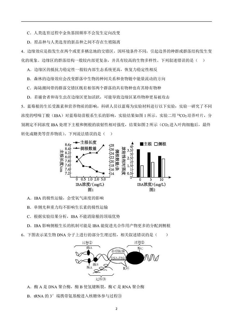 2024年高考第二次模拟考试:生物(江苏卷)(考试版)第2页