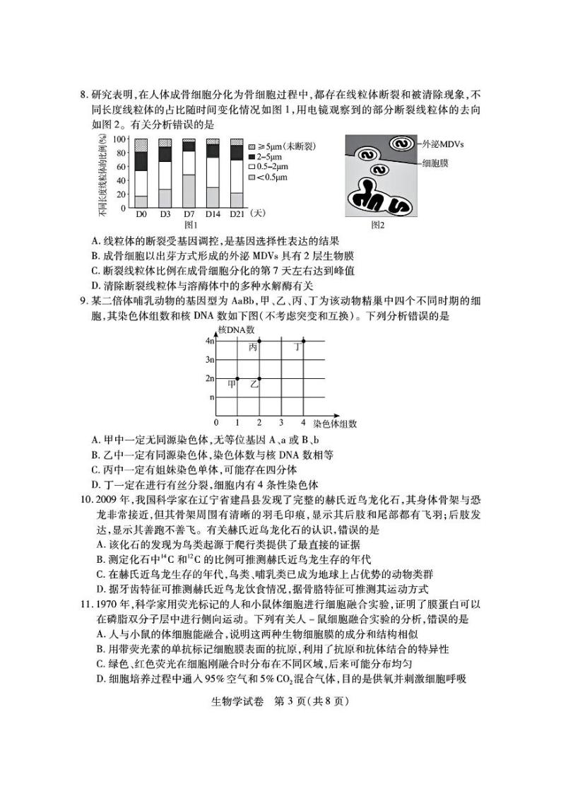 湖北省第九届2024届高三下学期4月调研模拟考试生物试题03