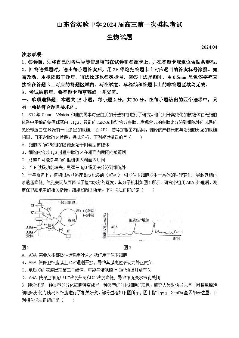 2024山东省实验中学高三下学期4月第一次模拟考试生物含答案01