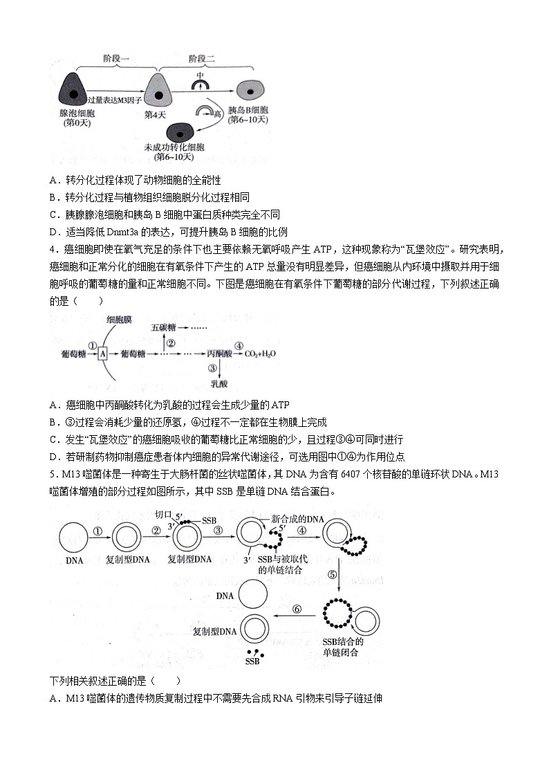 2024山东省实验中学高三下学期4月第一次模拟考试生物含答案02