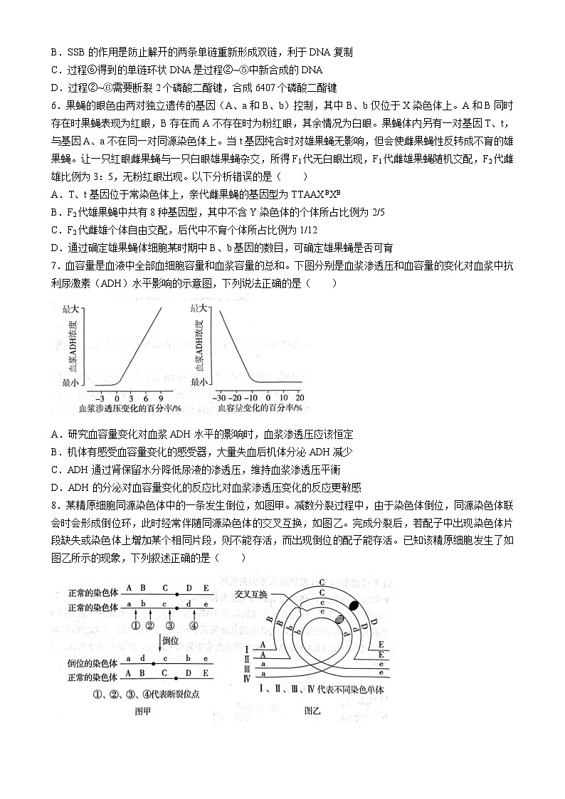 2024山东省实验中学高三下学期4月第一次模拟考试生物含答案03