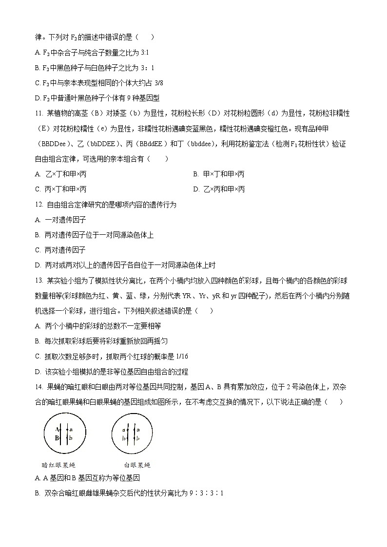 广东省珠海市斗门区第一中学2023-2024学年高三下学期3月生物考试试题(原卷版)第3页