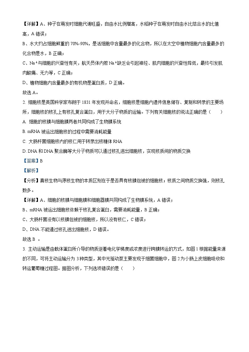 湖南省多校2024届高三下学期4月大联考生物试题(解析版)第2页