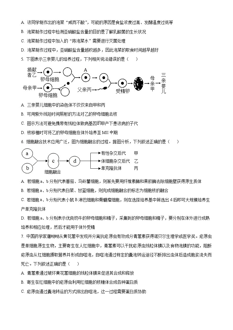 精品解析:广东省茂名市电白区华南师范大学附属茂名滨海学校2023-2024学年高二下学期4月期中考试生物试题(原卷版)第2页