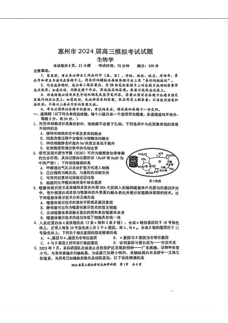 2024届广东省惠州市高三下学期模拟生物试题第1页