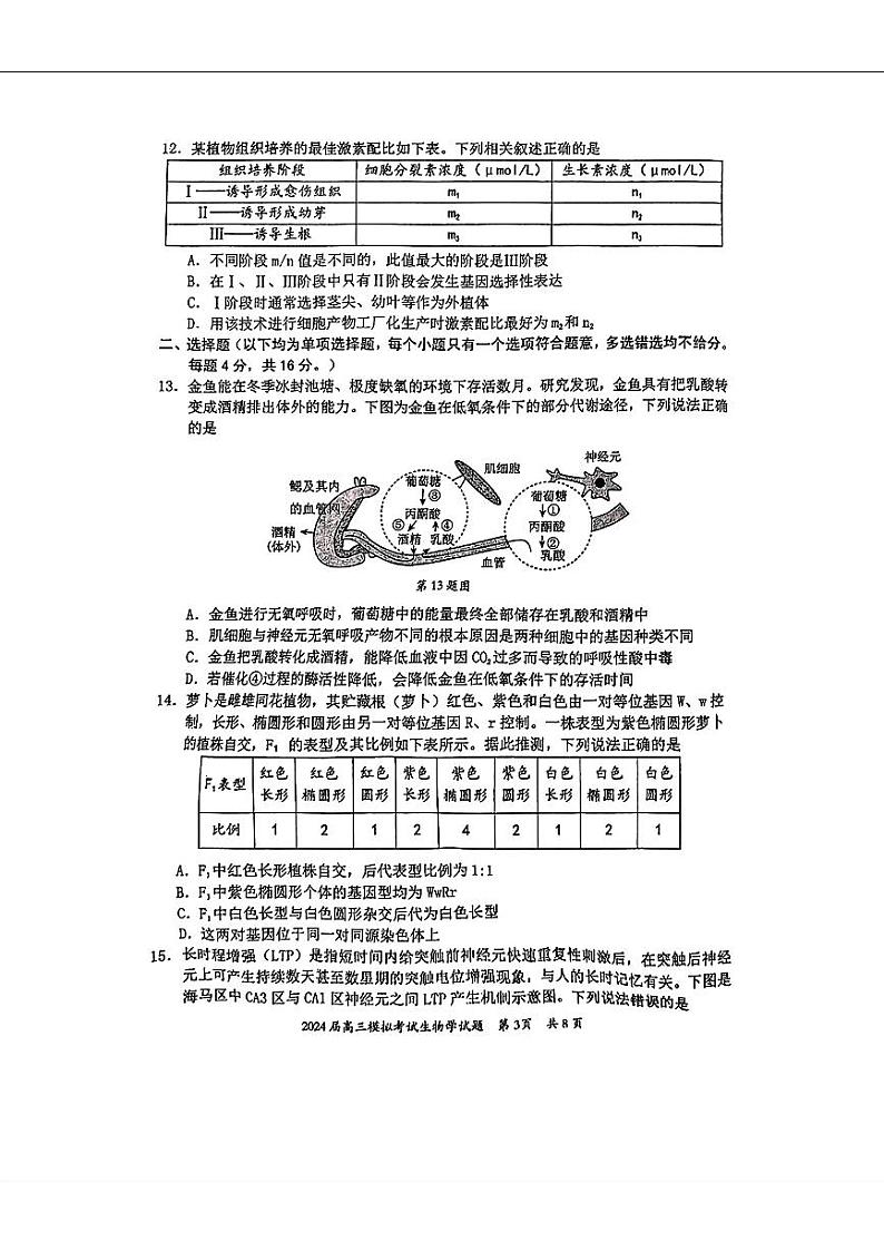 2024届广东省惠州市高三下学期模拟生物试题第3页