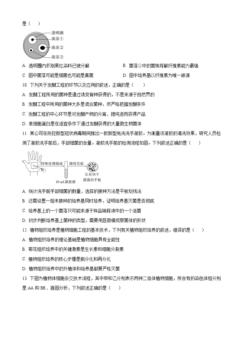 2024省大庆中学高二下学期4月月考试题生物含解析03