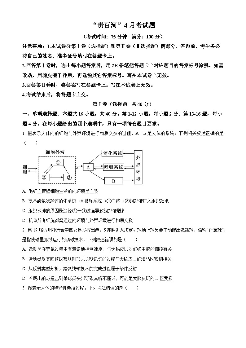 广西壮族自治区'贵百河“2023-2024学年高二下学期4月联考生物试题 (原卷版+解析版)01