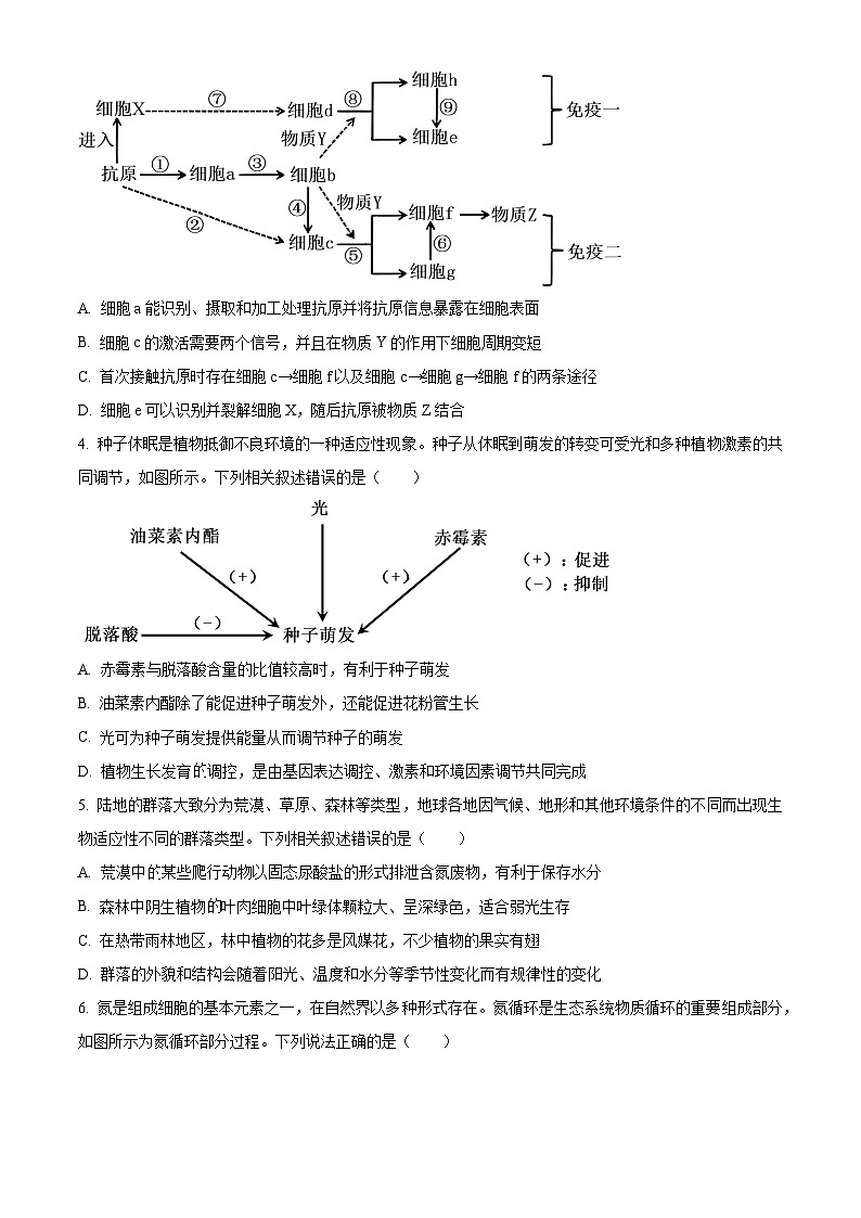 广西壮族自治区'贵百河“2023-2024学年高二下学期4月联考生物试题 (原卷版+解析版)02