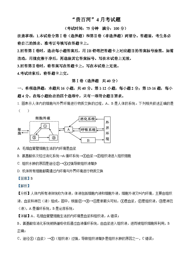 广西壮族自治区'贵百河“2023-2024学年高二下学期4月联考生物试题 (原卷版+解析版)01