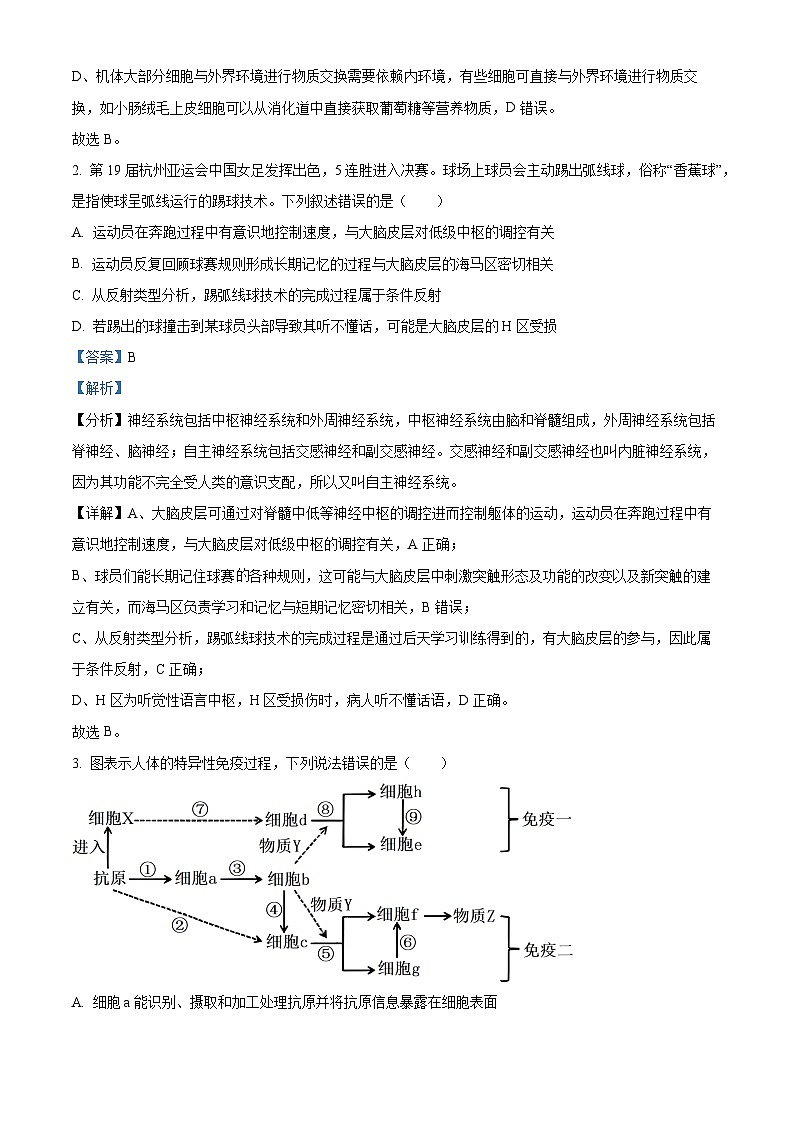 广西壮族自治区'贵百河“2023-2024学年高二下学期4月联考生物试题 (原卷版+解析版)02