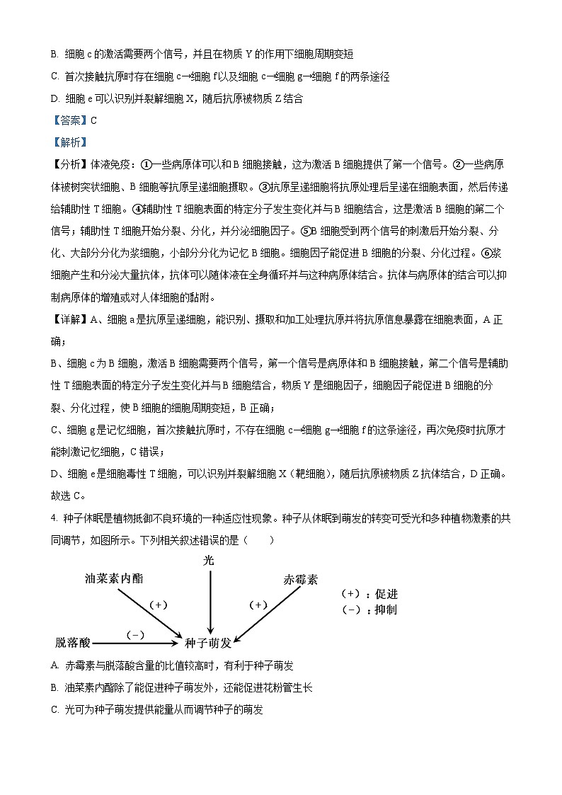 广西壮族自治区'贵百河“2023-2024学年高二下学期4月联考生物试题 (原卷版+解析版)03