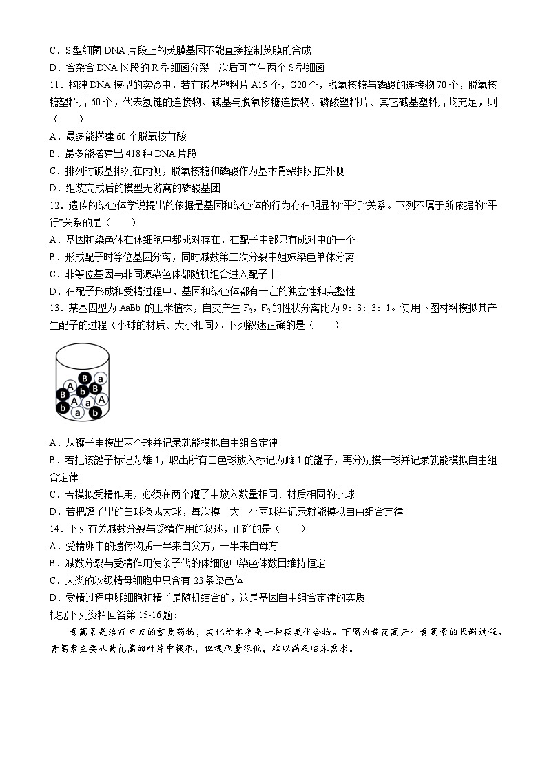浙江省台金七校2023-2024学年高一下学期4月期中生物试题第3页