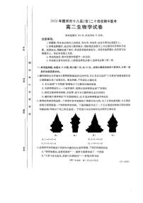 生物-江西省赣州市十八县24校2023-2024学年高二下学期期中（金太阳420B）生物试卷及答案