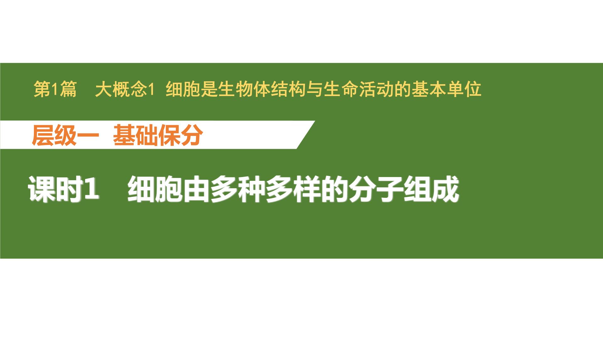 新教材2024届高考生物二轮复习1课时1细胞由多种多样的分子组成课件