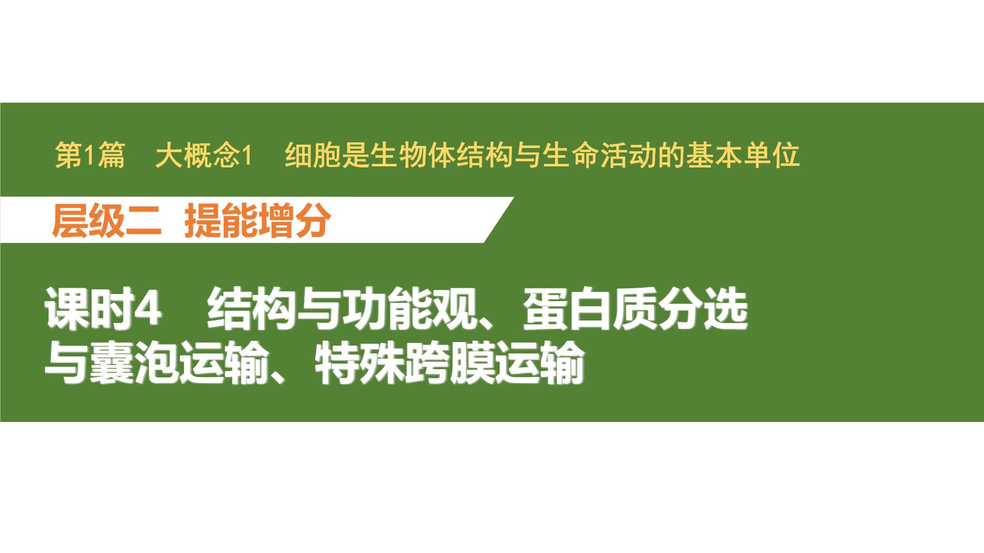 新教材2024届高考生物二轮复习1课时4结构与功能观蛋白质分选与囊泡运输特殊跨膜运输课件