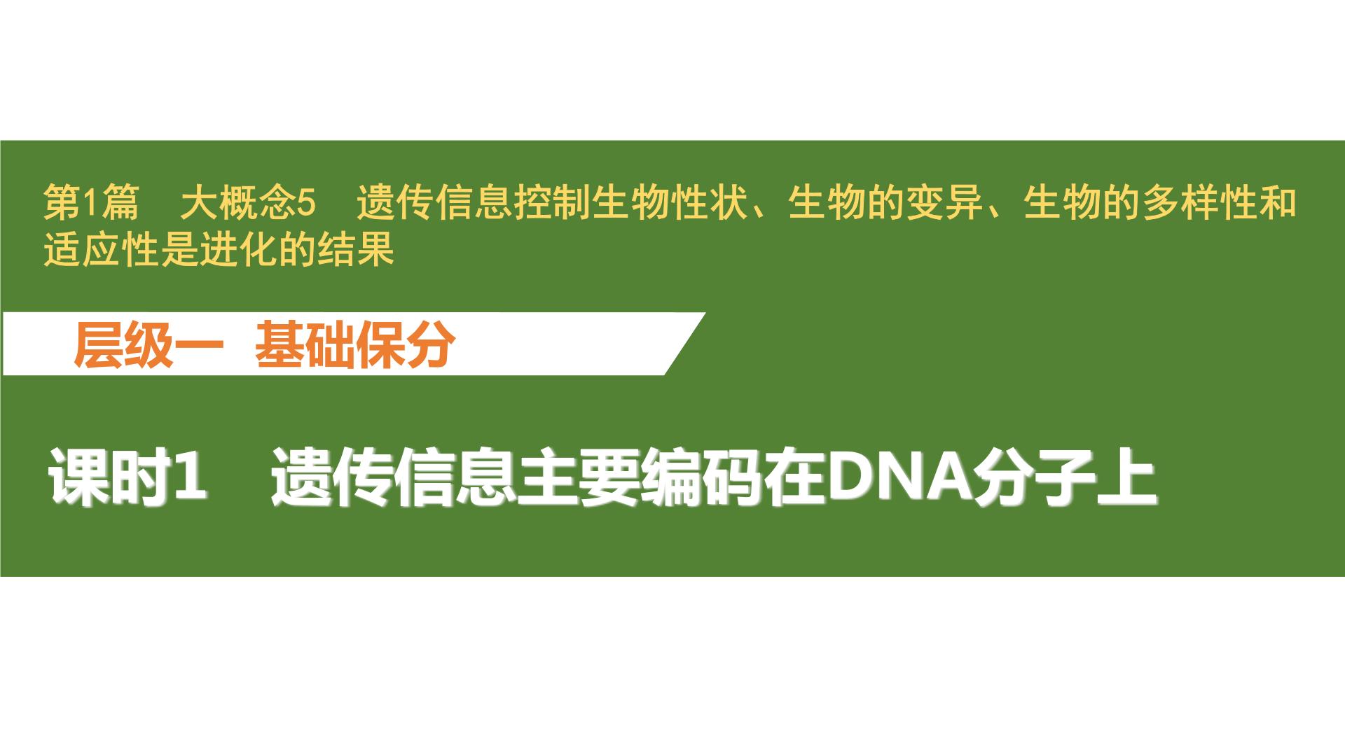 新教材2024届高考生物二轮复习5课时1遗传信息主要编码在DNA分子上课件