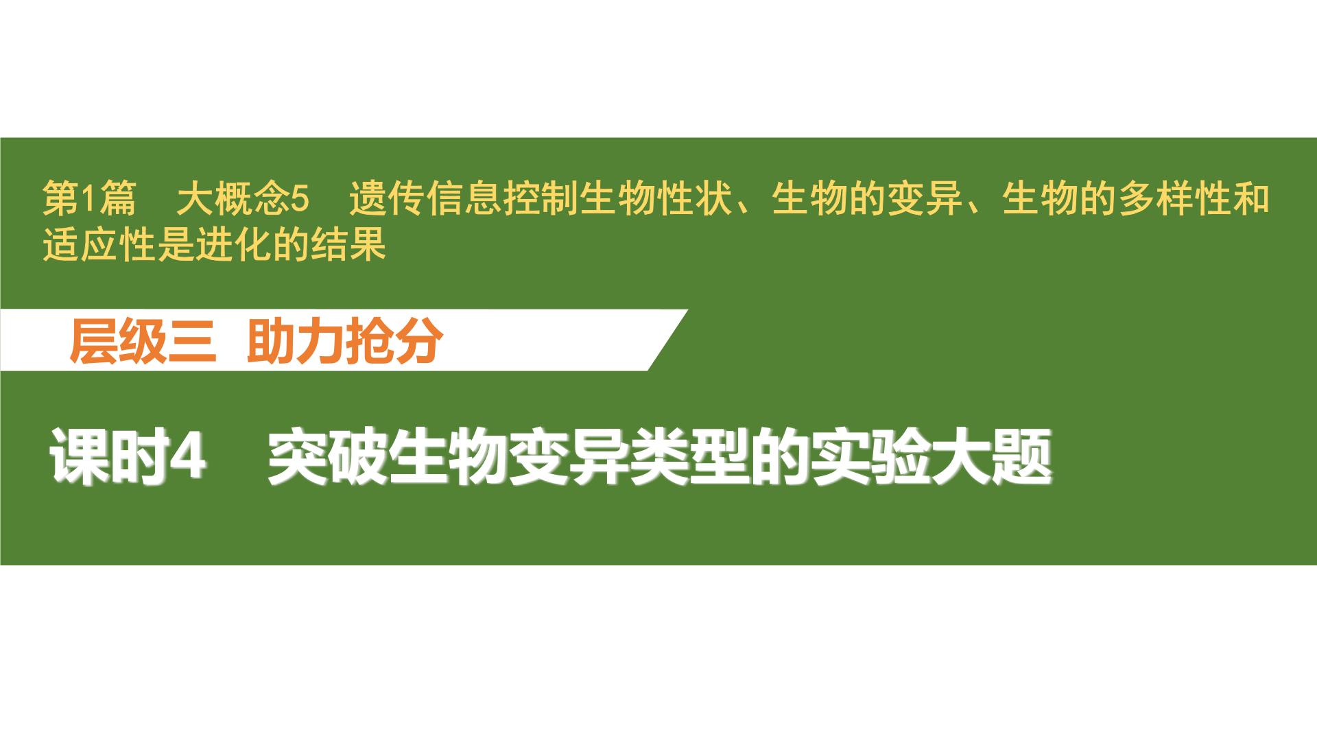 新教材2024届高考生物二轮复习5课时4突破生物变异类型的实验大题课件