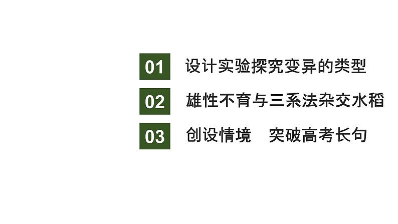 新教材2024届高考生物二轮复习5课时4突破生物变异类型的实验大题课件第2页