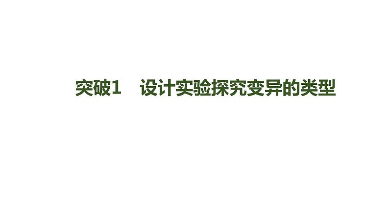 新教材2024届高考生物二轮复习5课时4突破生物变异类型的实验大题课件第3页