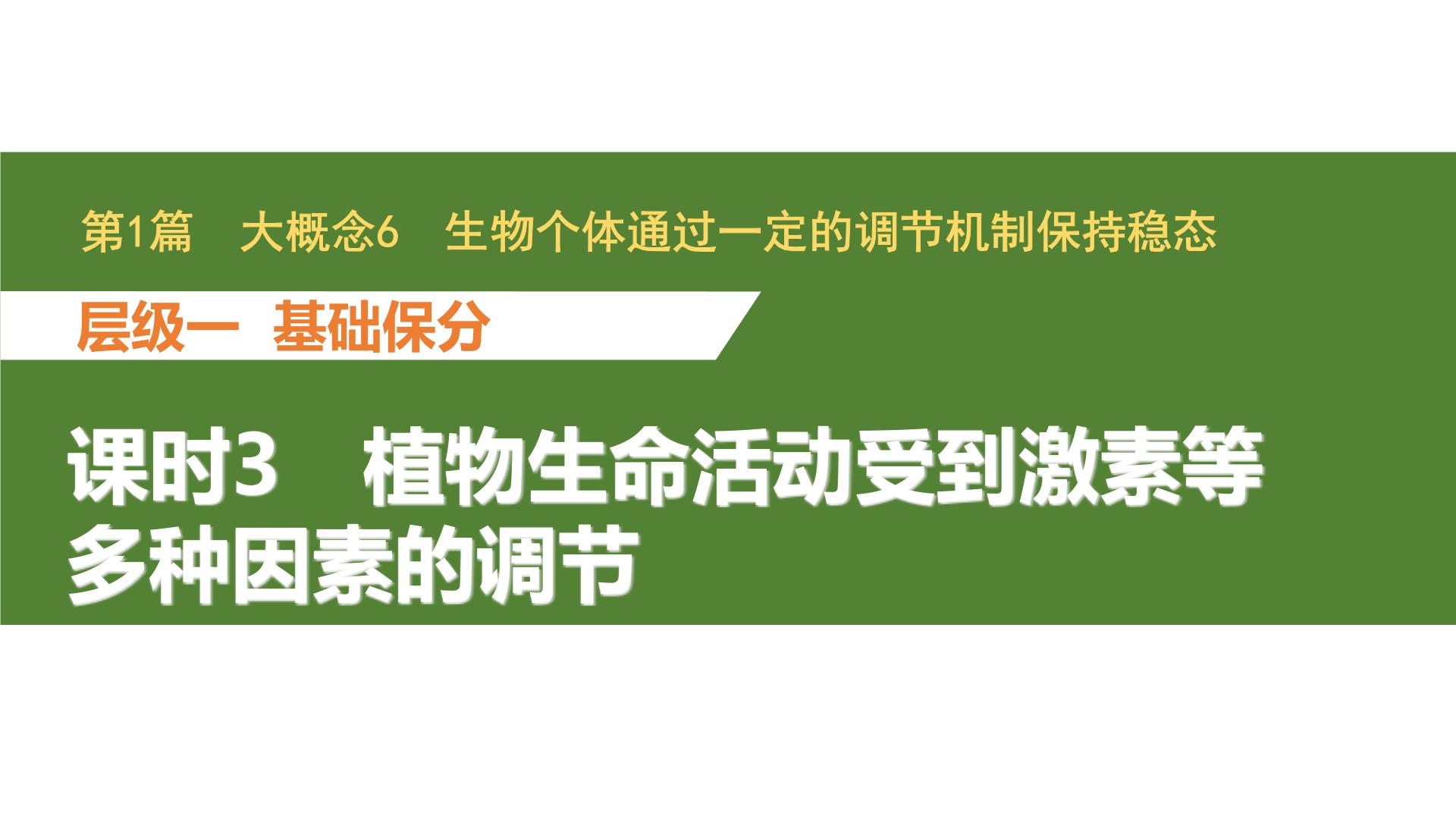 新教材2024届高考生物二轮复习6课时3植物生命活动受到激素等多种因素的调节课件