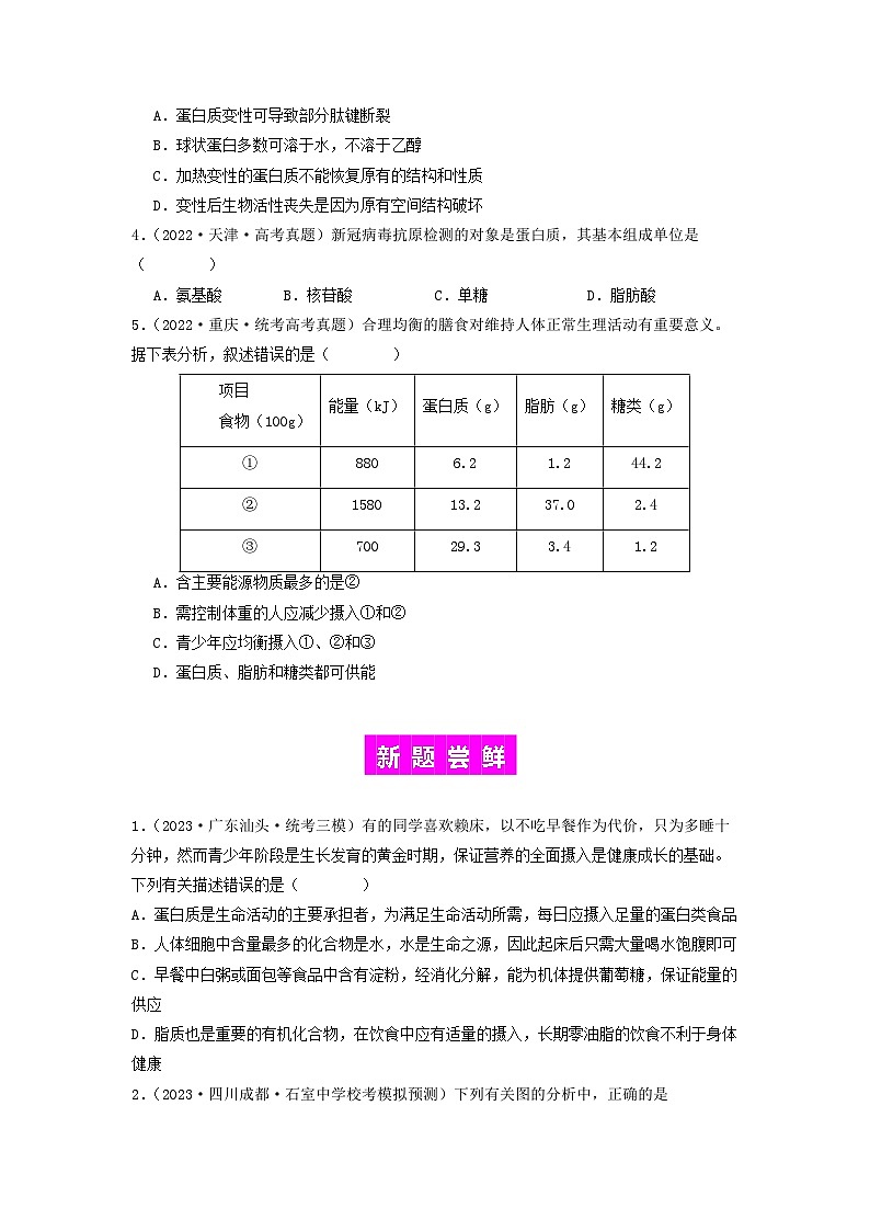 专题03 蛋白质(原卷版)第3页