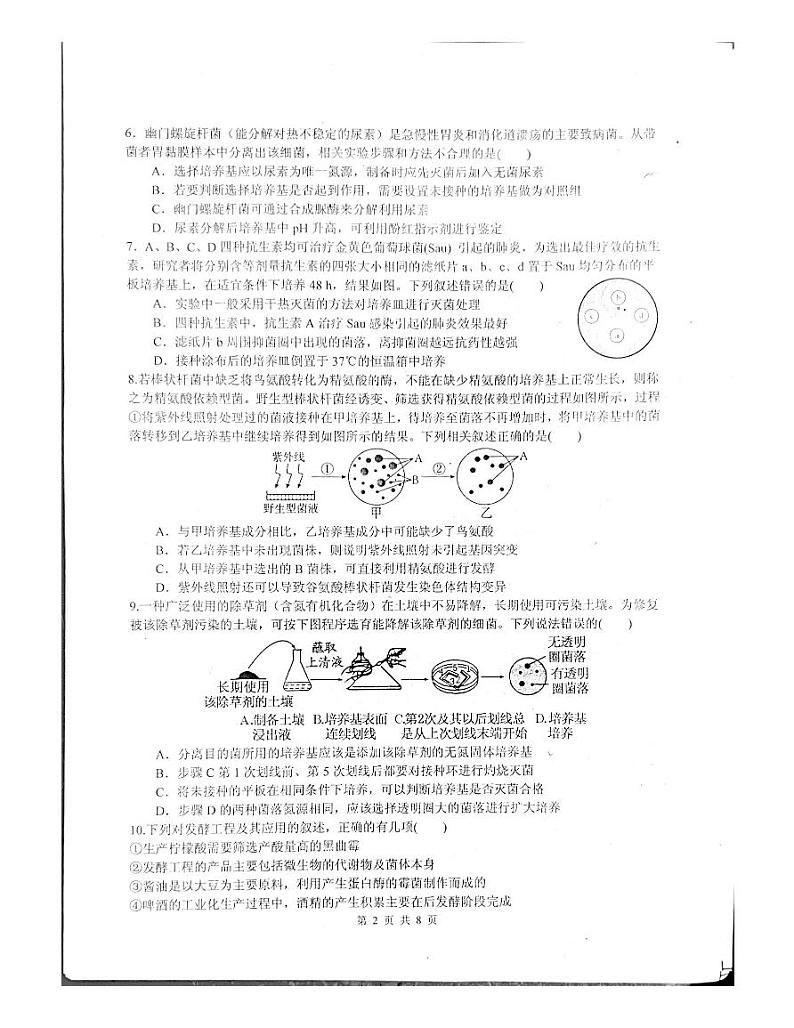 2024绵阳中学高二下学期4月月考试题生物PDF版含答案02