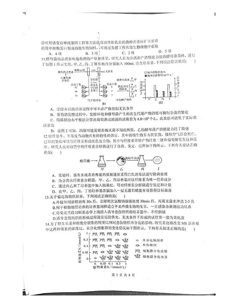 2024绵阳中学高二下学期4月月考试题生物PDF版含答案03
