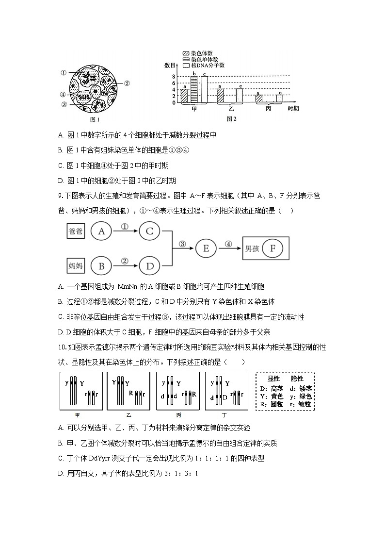 2024信阳高级中学高一下学期4月月考试题生物含答案第3页