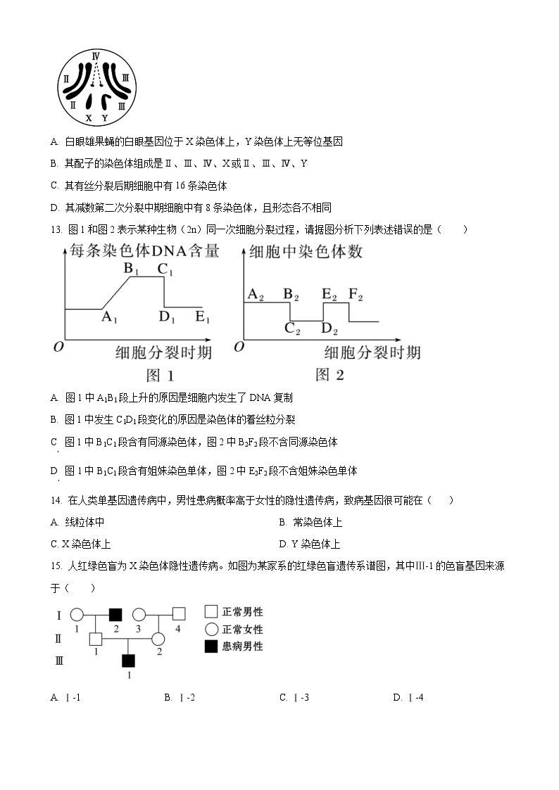 2024省牡丹江一中高一下学期4月月考试题生物含解析03