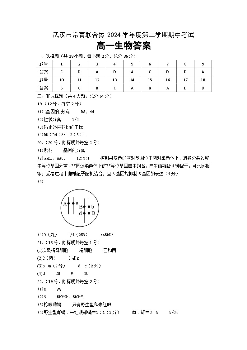 湖北省武汉市常青联合体2023-2024学年高一下学期期中考试生物试卷01