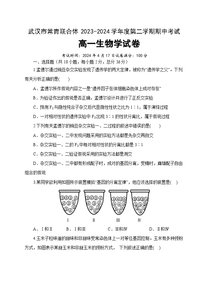 湖北省武汉市常青联合体2023-2024学年高一下学期期中考试生物试卷01