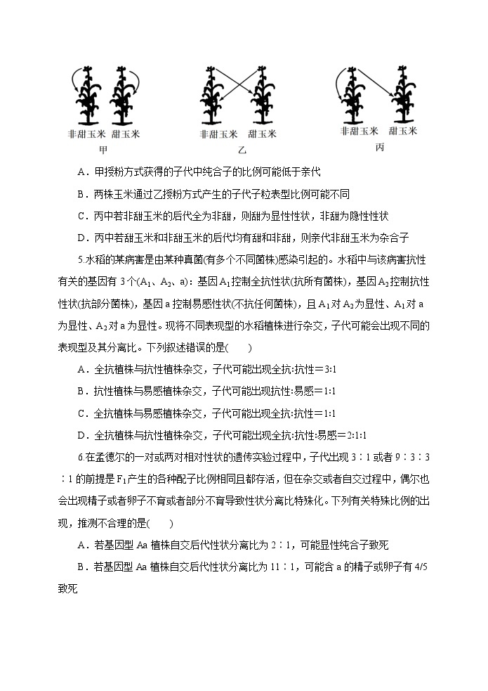 湖北省武汉市常青联合体2023-2024学年高一下学期期中考试生物试卷02