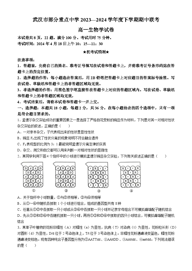 湖北省武汉市六校联考2023-2024学年高一下学期4月期中生物试题(无答案)01