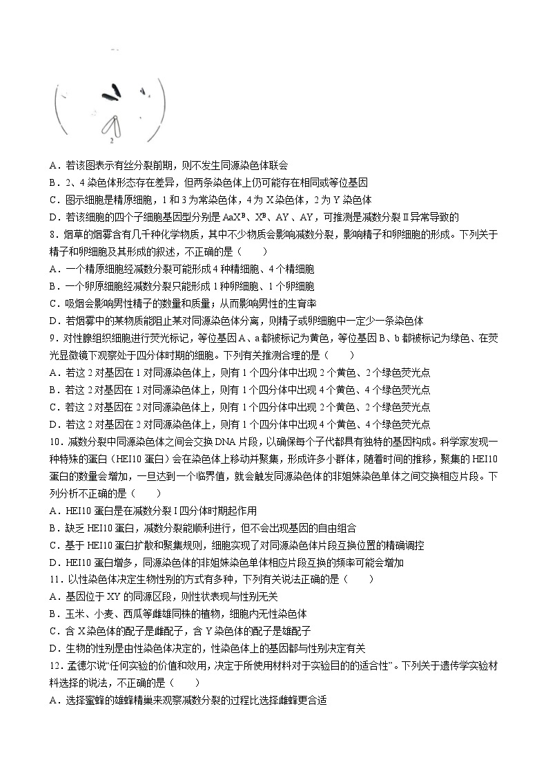 湖北省武汉市六校联考2023-2024学年高一下学期4月期中生物试题(无答案)03