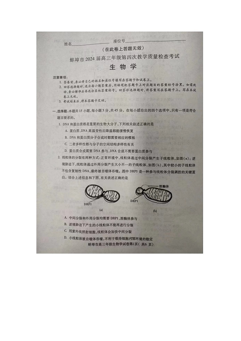 2024届安徽省蚌埠市高三第四次教学质量检查生物试卷01
