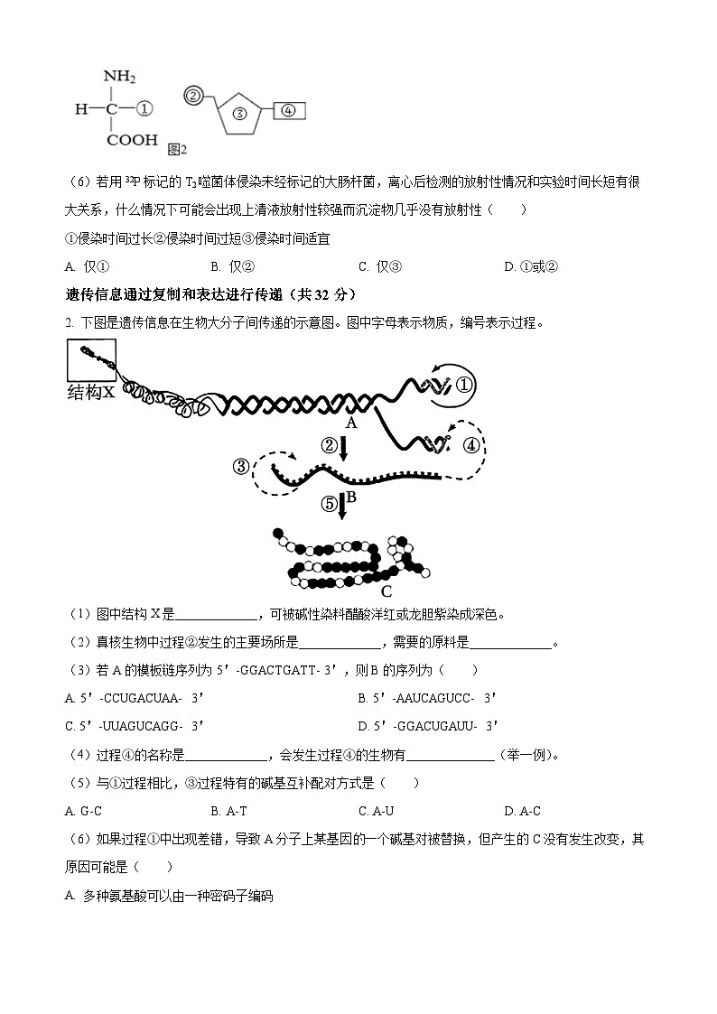 上海市松江二中2023-2024学年高一下学期中考试生物试卷(原卷版)第2页