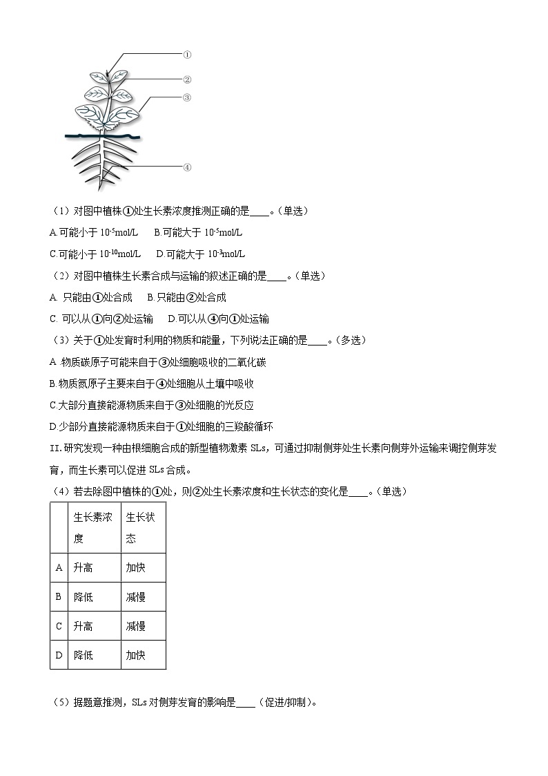 上海市黄浦区2024届高三下学期4月二模试题 生物 Word版含解析03