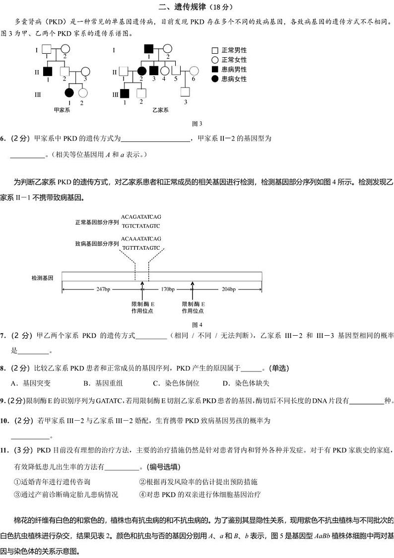 2024届上海市崇明区二模生物试题03