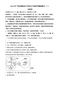 2024广东省普通高中学业水平选择性模拟考试(二)生物试卷(原卷版+解析版)