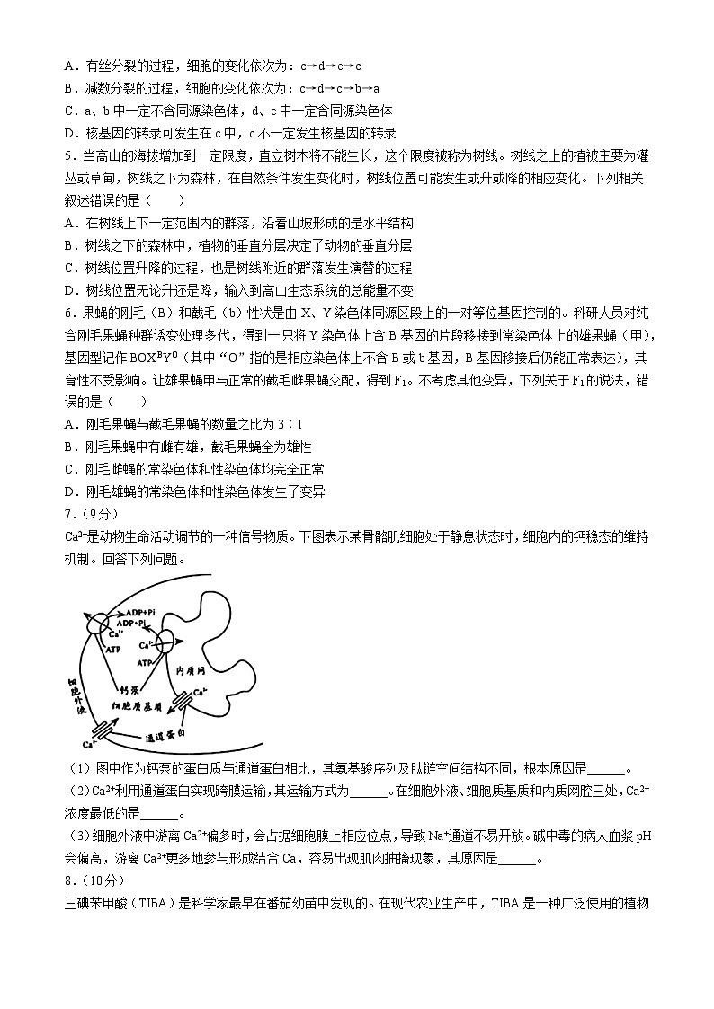 四川省绵阳市三台县三台中学校2023-2024学年高三下学期三模考试生物试题(无答案)02
