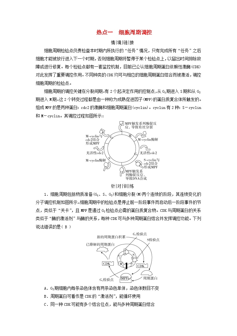 2025版高考生物一轮总复习教案必修1情境拓展3细胞周期调控和细胞自噬热点一细胞周期调控