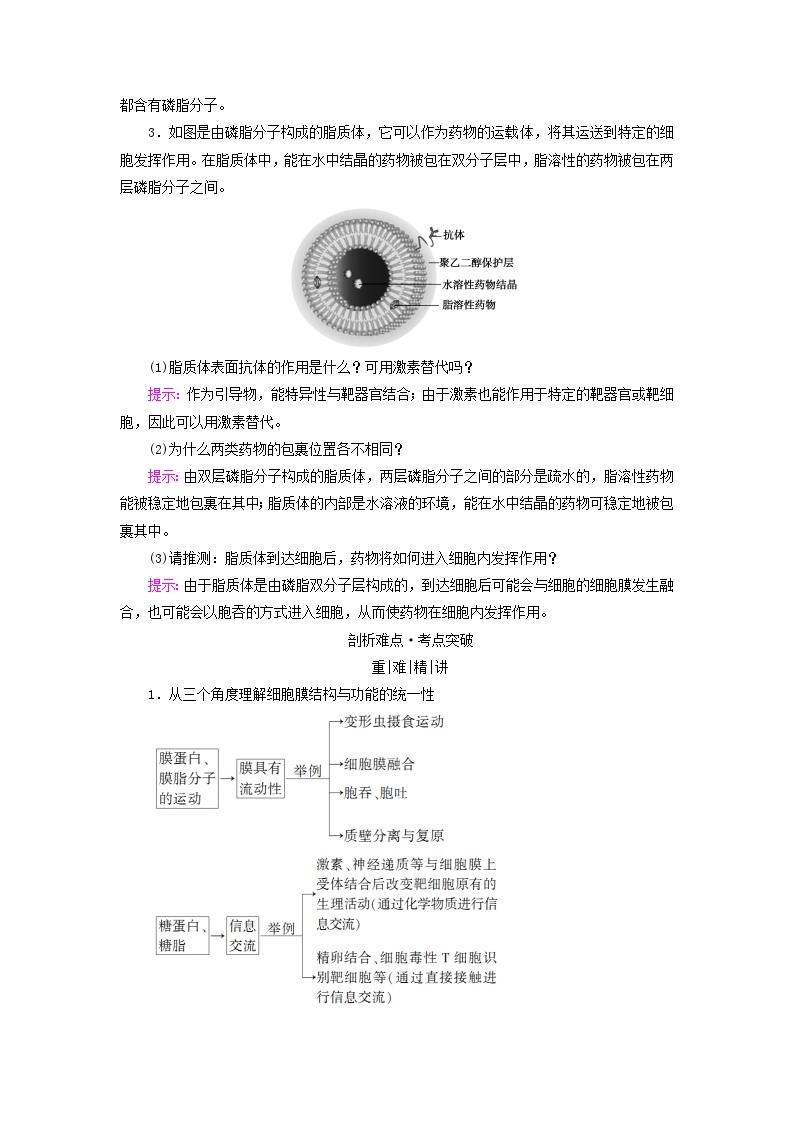 2025版高考生物一轮总复习教案必修1第二单元细胞的基本结构与物质输入和输出第一讲细胞膜和细胞核考点一细胞膜的组成结构和功能03