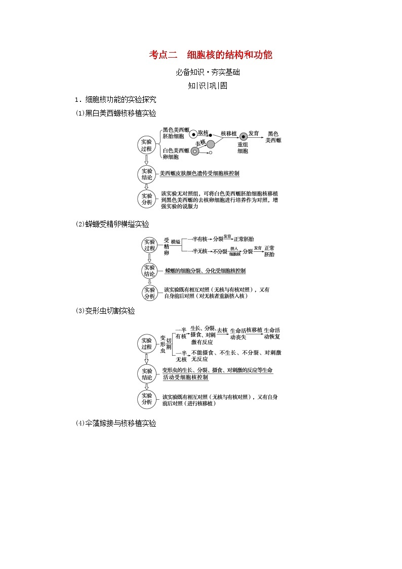 2025版高考生物一轮总复习教案必修1第二单元细胞的基本结构与物质输入和输出第一讲细胞膜和细胞核考点二细胞核的结构和功能01