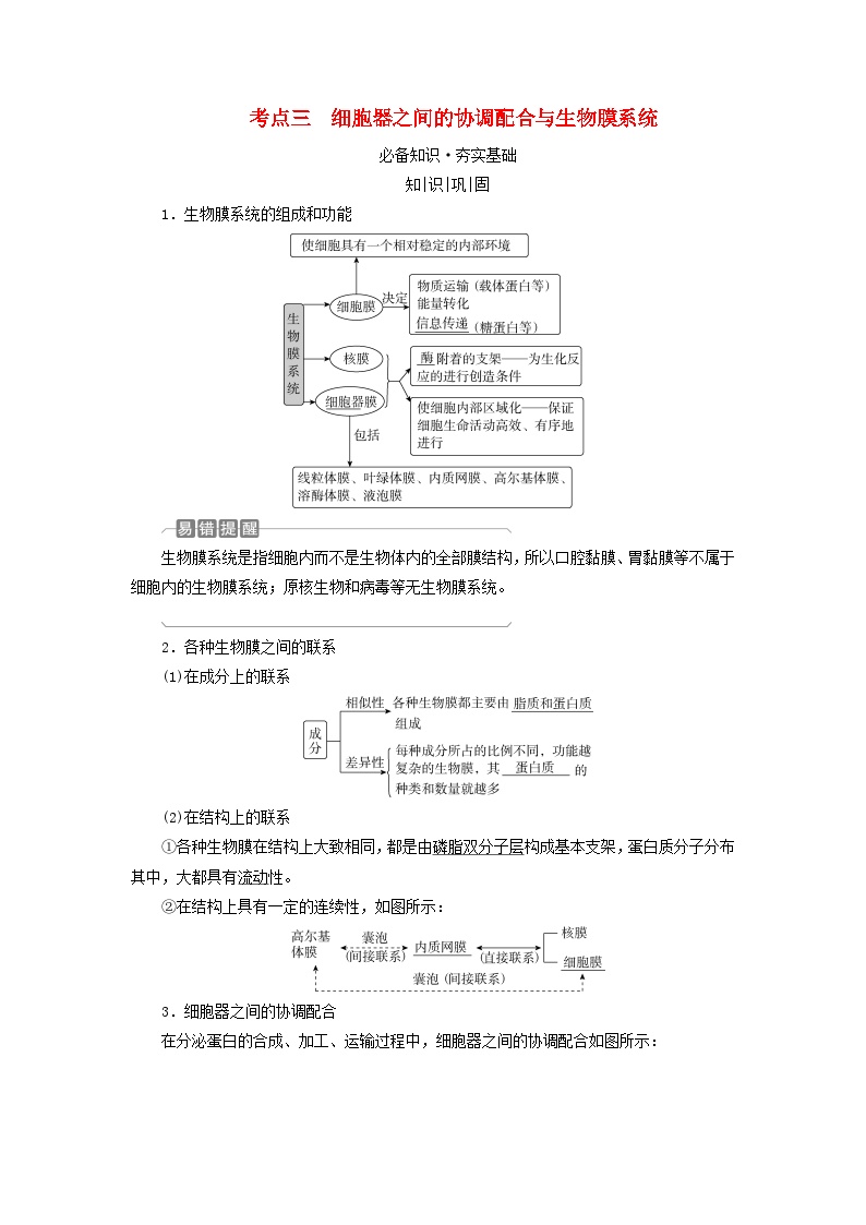 2025版高考生物一轮总复习教案必修1第二单元细胞的基本结构与物质输入和输出第二讲细胞器和生物膜系统考点三细胞器之间的协调配合与生物膜系统