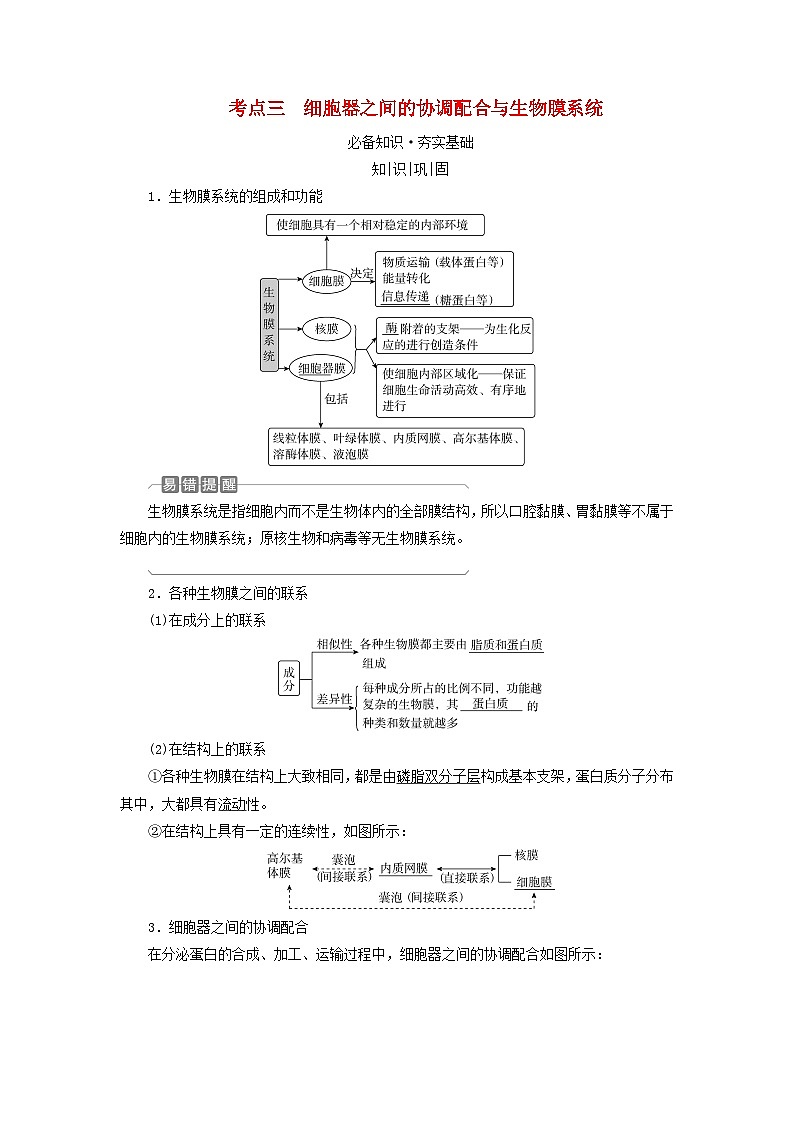 2025版高考生物一轮总复习教案必修1第二单元细胞的基本结构与物质输入和输出第二讲细胞器和生物膜系统考点三细胞器之间的协调配合与生物膜系统第1页