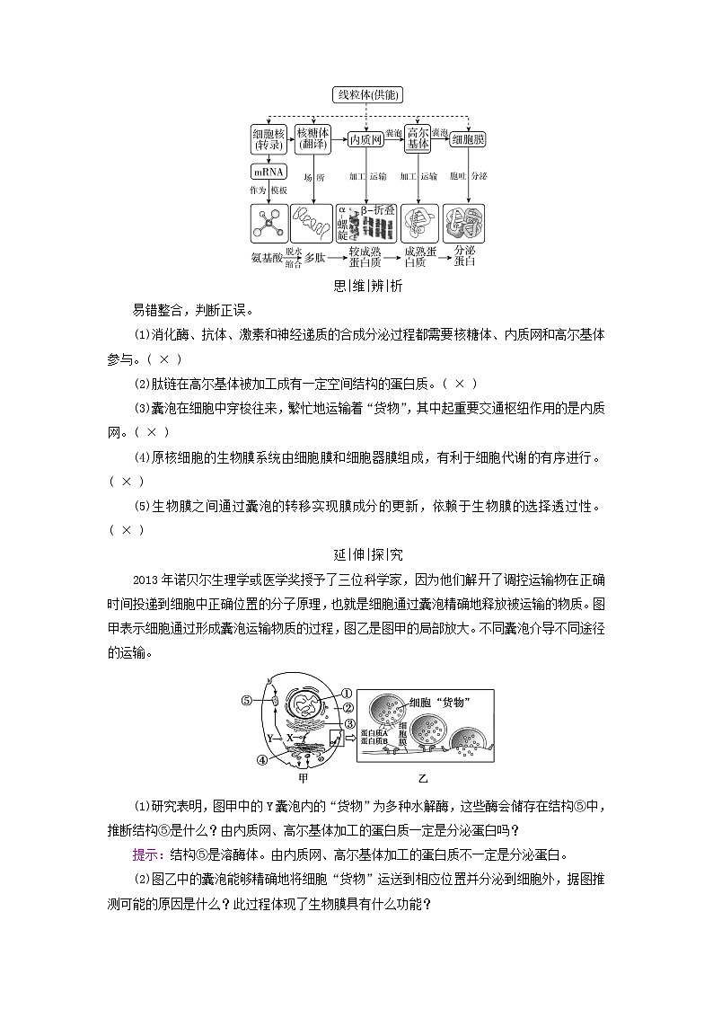 2025版高考生物一轮总复习教案必修1第二单元细胞的基本结构与物质输入和输出第二讲细胞器和生物膜系统考点三细胞器之间的协调配合与生物膜系统第2页