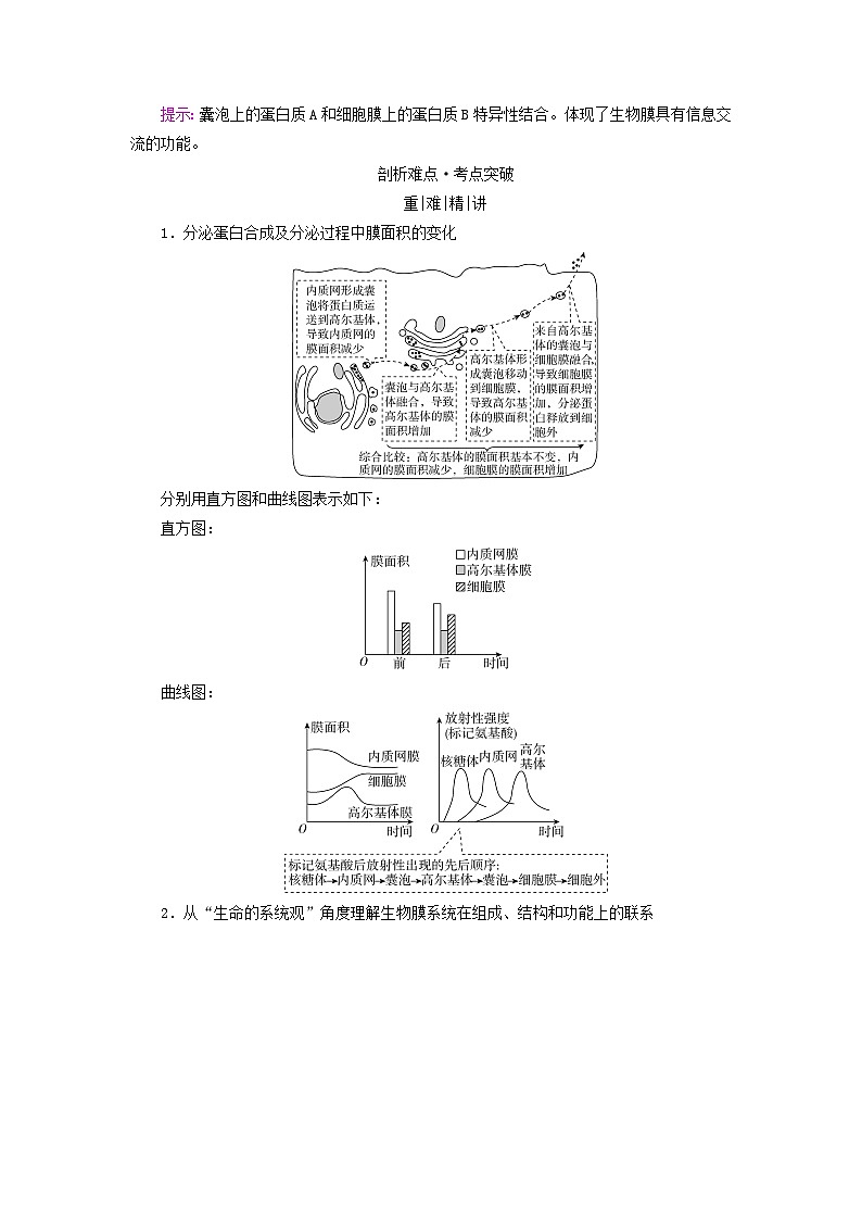 2025版高考生物一轮总复习教案必修1第二单元细胞的基本结构与物质输入和输出第二讲细胞器和生物膜系统考点三细胞器之间的协调配合与生物膜系统第3页