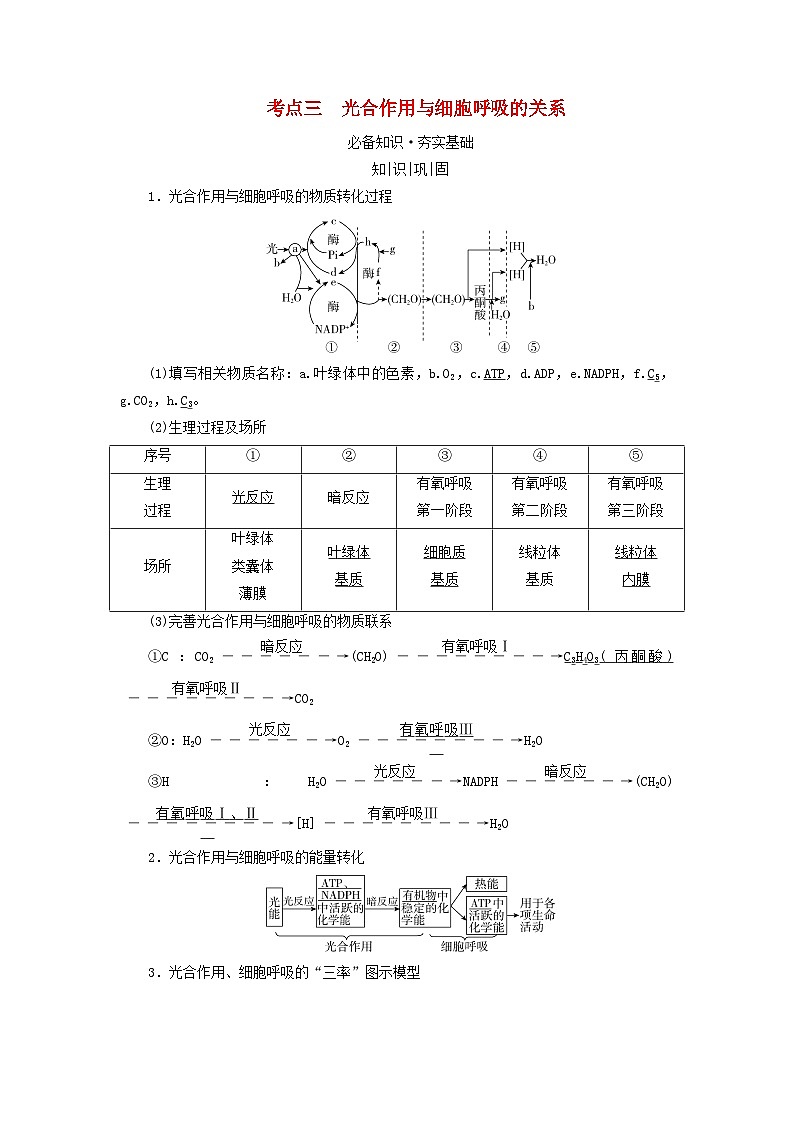 2025版高考生物一轮总复习教案必修1第三单元细胞的能量供应和利用第四讲影响光合作用的环境因素及其应用考点三光合作用与细胞呼吸的关系第1页